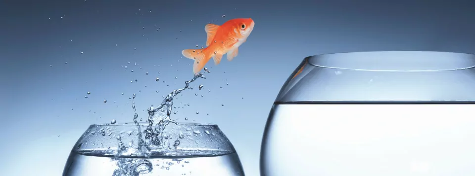 Rebondir et se réinventer : la résilience des ETI industrielles